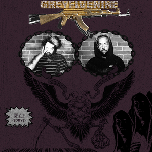 高圆圆做爰高潮AI换脸
