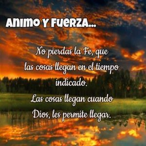 高圆圆做爰高潮AI换脸
